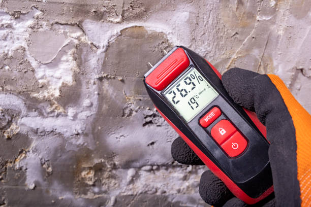 Best Local Mold Removal Service  in Desloge, MO