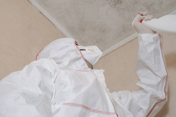 Best Mold Testing  in Desloge, MO