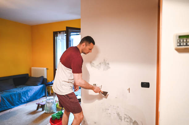 Best Office Mold Removal Services  in Desloge, MO